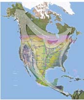 Wildlife and trade corridor maps combined